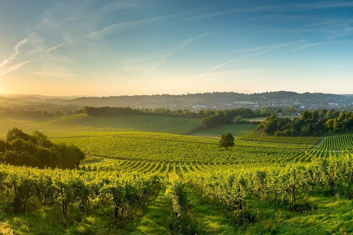  Surrey's Scenic Private Tour with Wine Tasting Near London - Photo 1 of 25